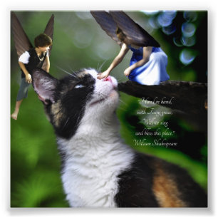 Feen mit Katzen-William Shakespeare-Zitat-Druck Fotodruck