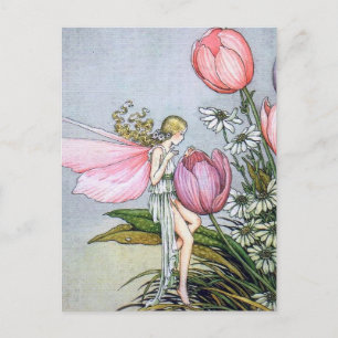 Feen-Tulpen Vintage-Illustration Postkarte