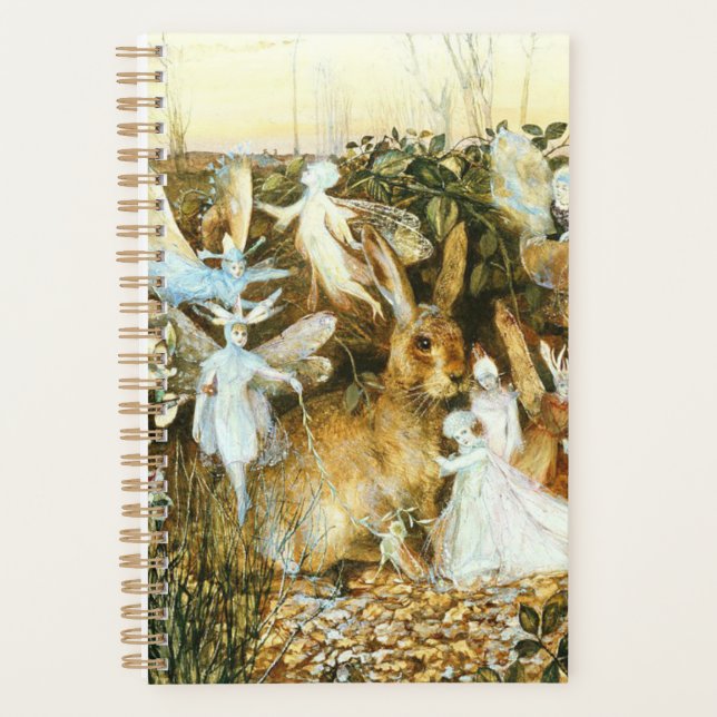 Feen und Kaninchen Planer (Vorderseite)