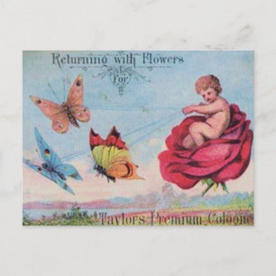 Feen- und Schmetterlings-Duftwasser-Werbung Postkarte