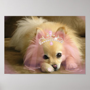 Feenprinzessin mit Diamantkrone Poster