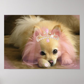 Feenprinzessin mit Diamantkrone Poster