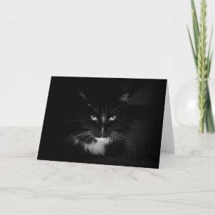 Feenschwarze Katze Karte