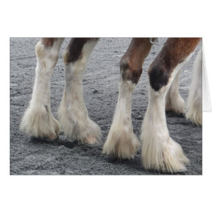 Feet mit Feder (unbedruckte Innenseite)