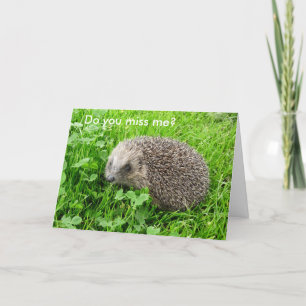 "Fehle ich dir? " Karte