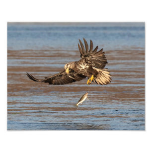 Fehlende Gelegenheit Fotodruck