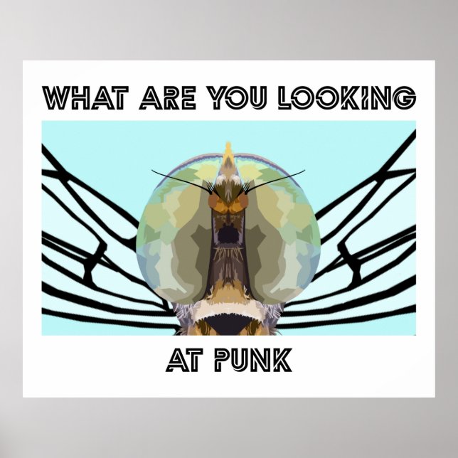 FEHLER 1 POSTER (Vorne)