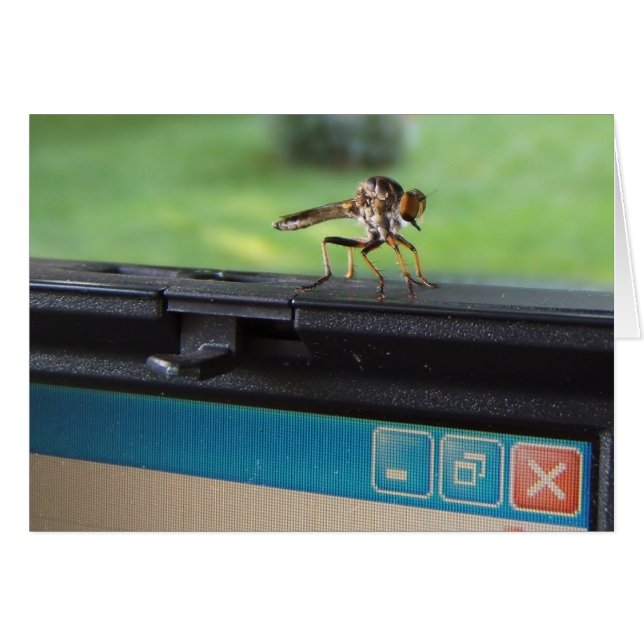 Fehler auf System ~ Karte (Vorderseite (Horizontal))