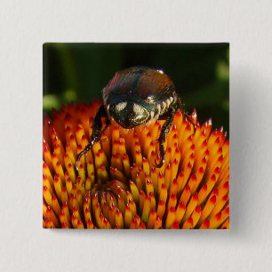 Fehler bei der Blume Button