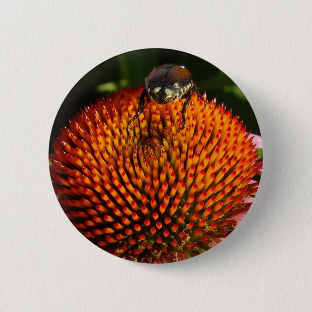 Fehler bei der Blume Button (Vorderseite)