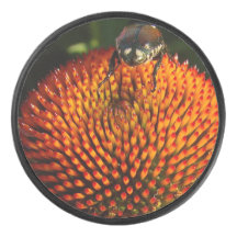 Fehler bei der Blume