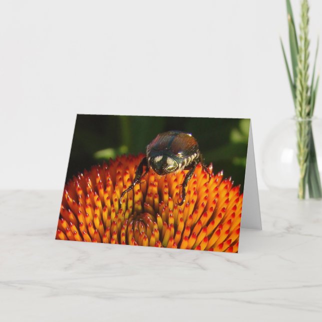 Fehler bei der Blume Karte (Vorderseite)