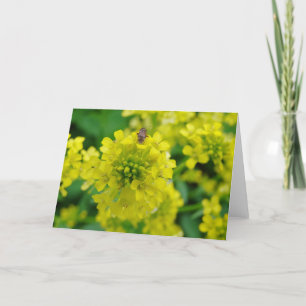 Fehler bei der Blume Karte