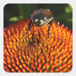 Fehler bei der Blume Quadratischer Aufkleber