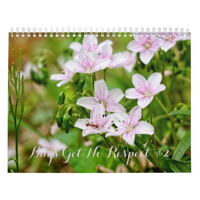 Fehler erhalten No Respect #2-Kalender Kalender (Titelbild)