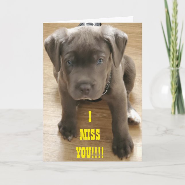 ****FEHLER SIE**** MILEN SIND NICHT MINIMAL GENUG: KARTE (Vorderseite)