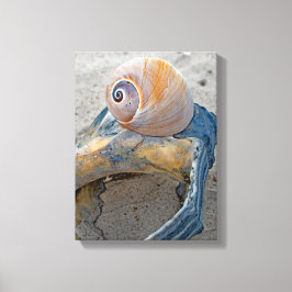 Fehlerhafte Schönheiten Leinwanddruck