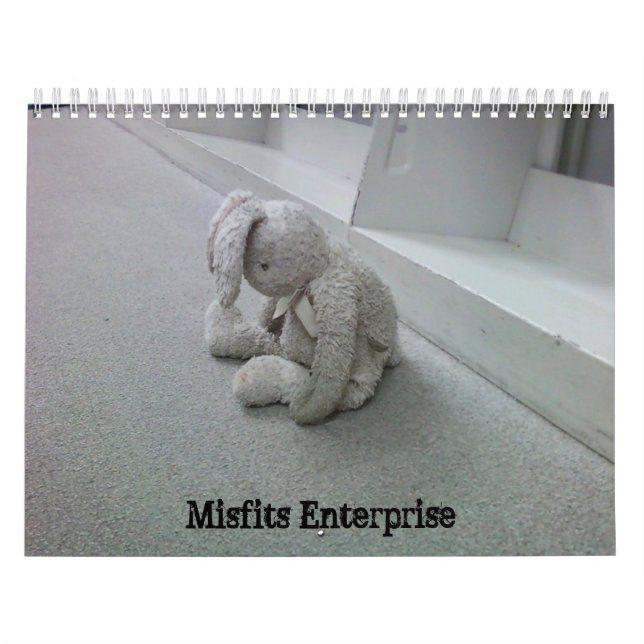 Fehlerkalender Kalender (Titelbild)