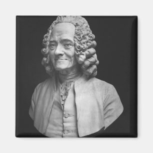 Fehlschlag von Voltaire Magnet