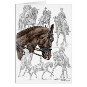 FEI für eingesammelte Dressurpferde