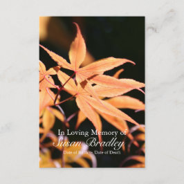 Feier des Ahornbaum-2 der Einladung