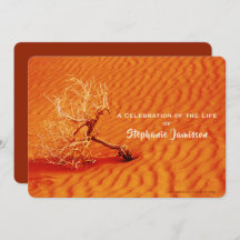 Feier des Lebens, einsame Bäume in fiery Red Sand