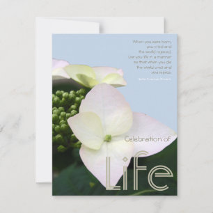 Feier des Lebens mit inspirierendem Zitat 8 Einladung
