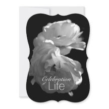 Feier des Life 3 White Rose Memorial Service