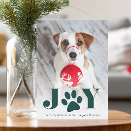 Feierliche Paws | Pet Foto Holiday Card Feiertagskarte