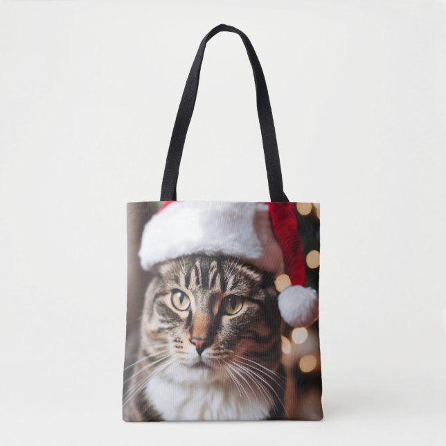Feierliche Tabby (Vorderseite)