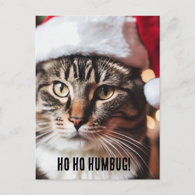 Feierliche Tabby Feiertagspostkarte (Vorderseite)