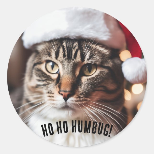 Feierliche Tabby Runder Aufkleber (Vorderseite)