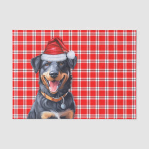 Feierliches Rot Kariert und Beauceron Weihnachten Seidenpapier