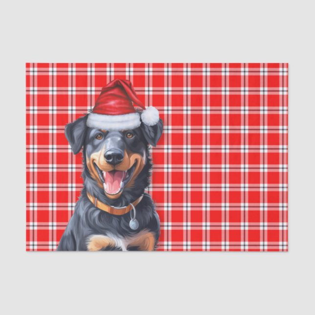 Feierliches Rot Kariert und Beauceron Weihnachten Seidenpapier (Vorderseite)