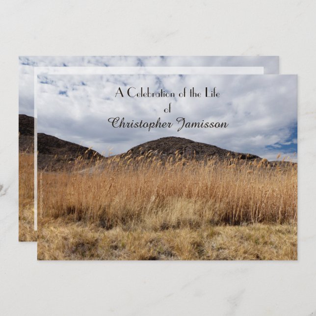 Feiern des Lebens, Name, Körnchen in der Brise Einladung (Vorne/Hinten)