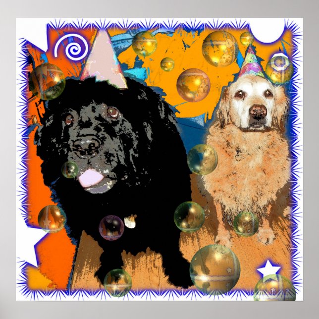 Feiern Sie! Poster (Vorne)