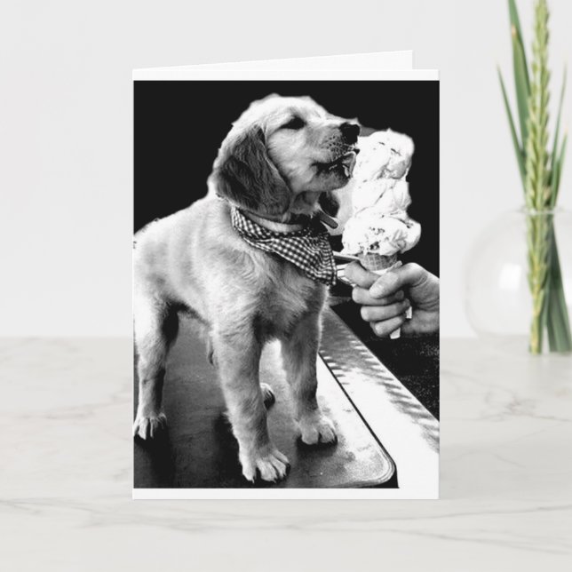 FEIERN "YOUR 40." mit EIN PAAR EISKREMA! Karte (Vorderseite)