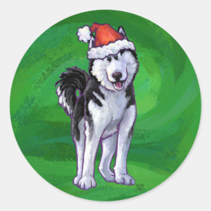 Feiernder Husky in Weihnachtsmannmütze auf Green Runder Aufkleber