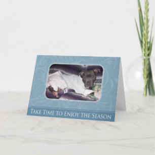 Feiertag Pitbull Karte