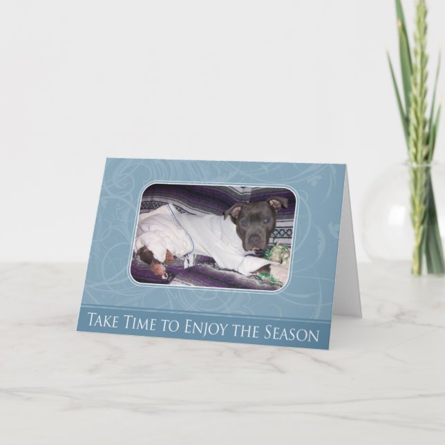 Feiertag Pitbull Karte (Vorderseite)