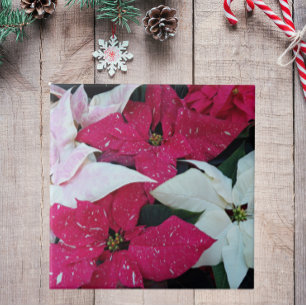 Feiertag Poinsettias Floral Fliese