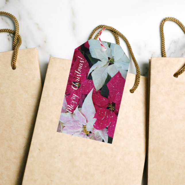 Feiertag Poinsettias Floral Geschenkanhänger (In Situ)