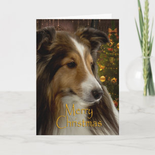 Feiertag Sheltie Weihnachtskarte Feiertagskarte