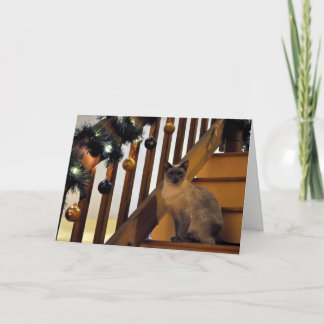 Feiertag siamesische 2 feiertagskarte