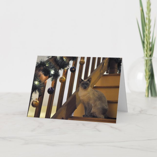 Feiertag siamesische 2 feiertagskarte (Vorderseite)