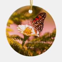 Feiertage in Tropen Schmetterling und Weihnachtsba