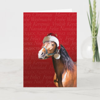 Feiertags-Bucht Feiertagskarte