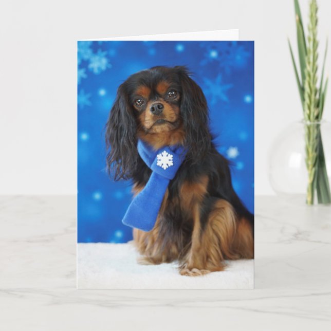 Feiertags-Kavalier Feiertagskarte (Vorderseite)