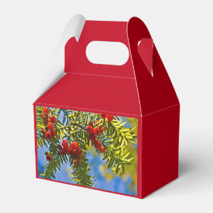 Feiertags-Koniferen Geschenkschachtel