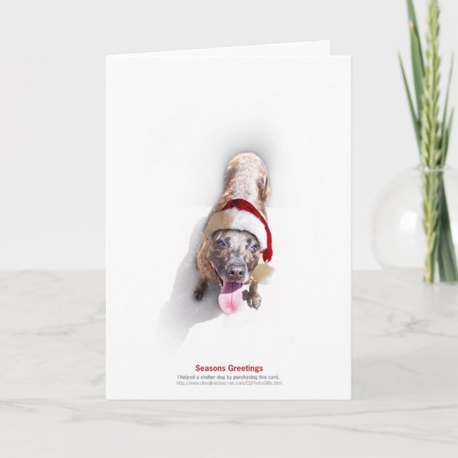 Feiertags-Schutz-Hund 2 Feiertagskarte (Vorderseite)